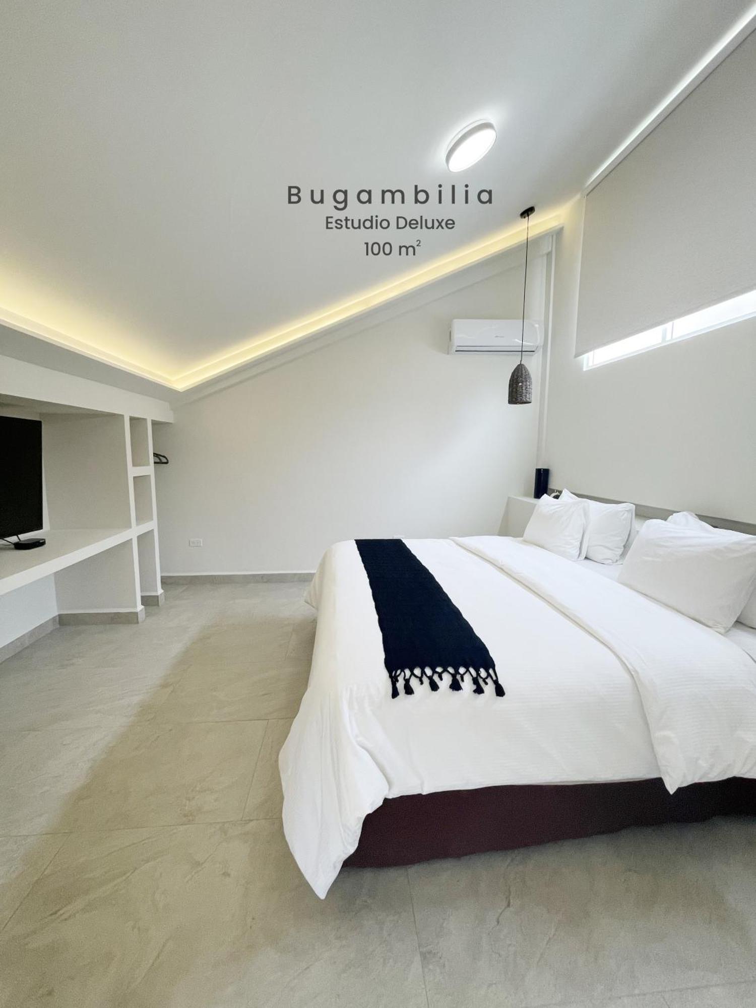 Marisol Hotel Boutique San José del Cabo المظهر الخارجي الصورة